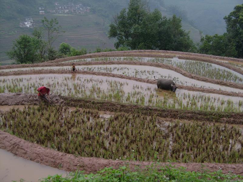 臘咪村 臘咪村
