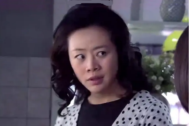 楊蘭(情感劇《野鴨子》中的角色) 楊蘭(情感劇《野鴨子》中的角色)