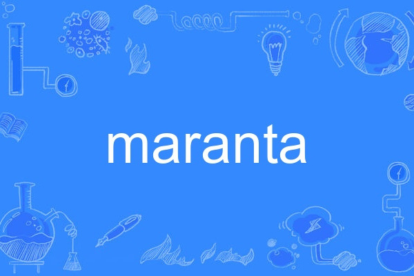 maranta