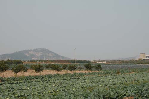 寧波站村生態農業