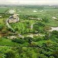 關渡自然公園 關渡自然公園