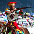 達大馬術節 達大馬術節