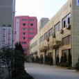 白石坭村 白石坭村