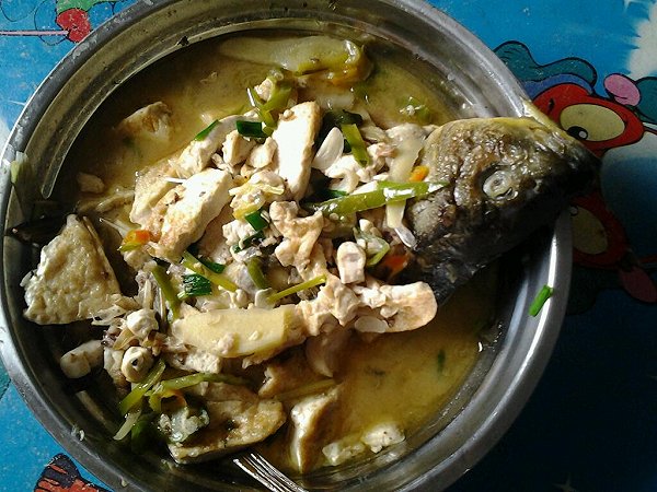 鯉魚燉豆腐