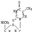DT(胸腺嘧啶脫氧核苷) DT(胸腺嘧啶脫氧核苷)