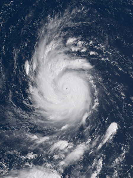 颱風天鵝  衛星雲圖