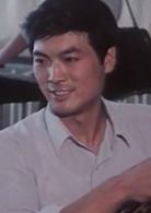沙鷗(1981年張暖忻執導電影)