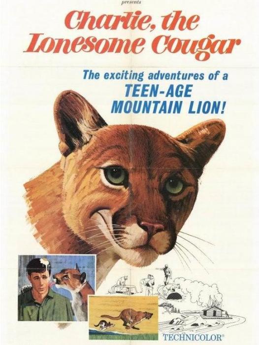 Charlie, the Lonesome Cougar Charlie, the Lonesome Cougar