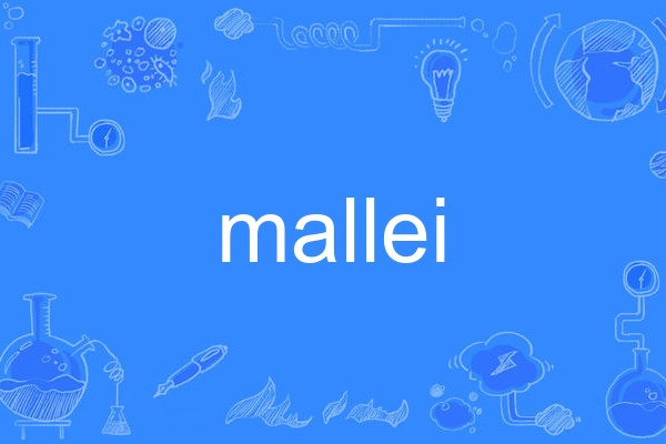 mallei mallei