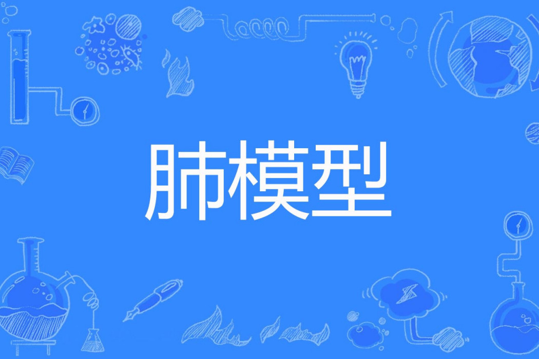 肺模型 肺模型