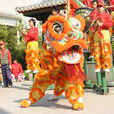舞獅龍 舞獅龍