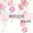 神的法則 神的法則