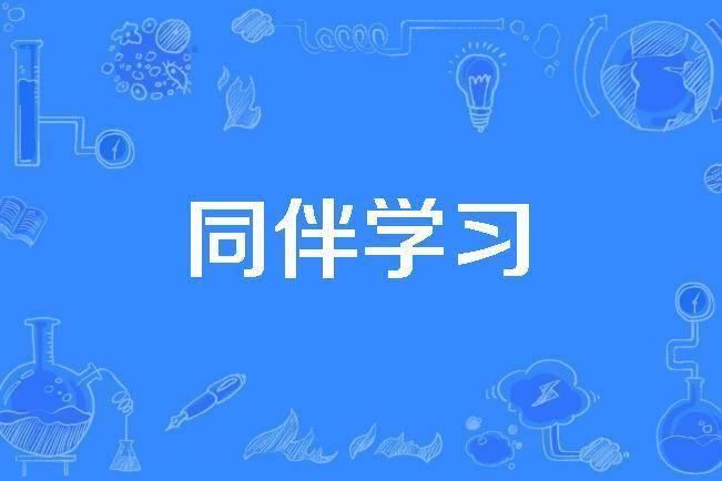 同伴學習 同伴學習