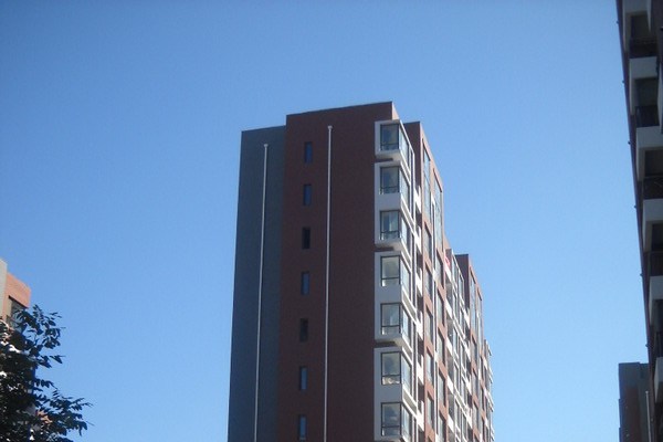 金港綠洲