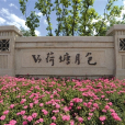 V7荷塘月色 V7荷塘月色