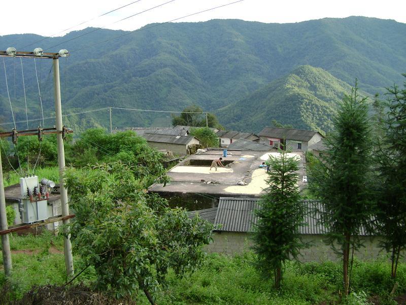 滬安村 滬安村