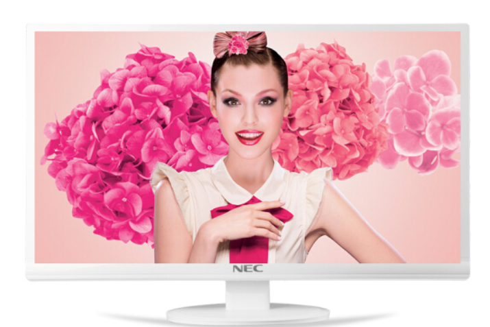 NECVE2809XM NECVE2809XM