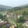 新黔村 新黔村