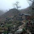 富硒土 富硒土