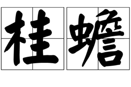 桂蟾 桂蟾