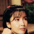沈菊仙(1995年TVB電視劇《刀馬旦》女主角)