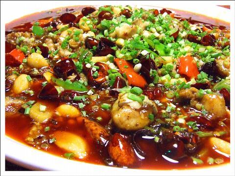 紅火大鯰魚 紅火大鯰魚