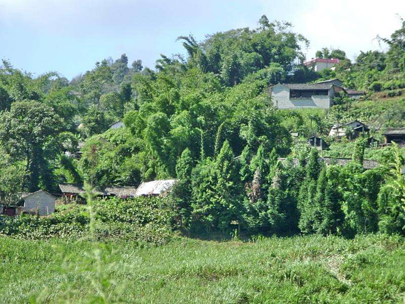 灑塢村