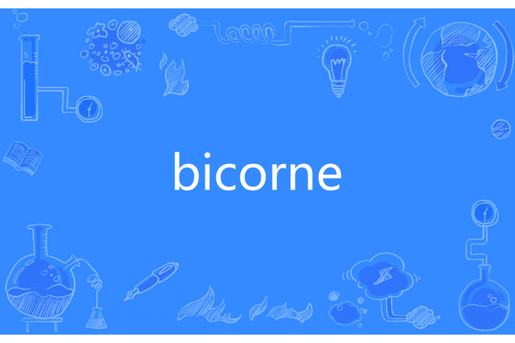 bicorne bicorne