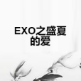 EXO之盛夏的愛 EXO之盛夏的愛
