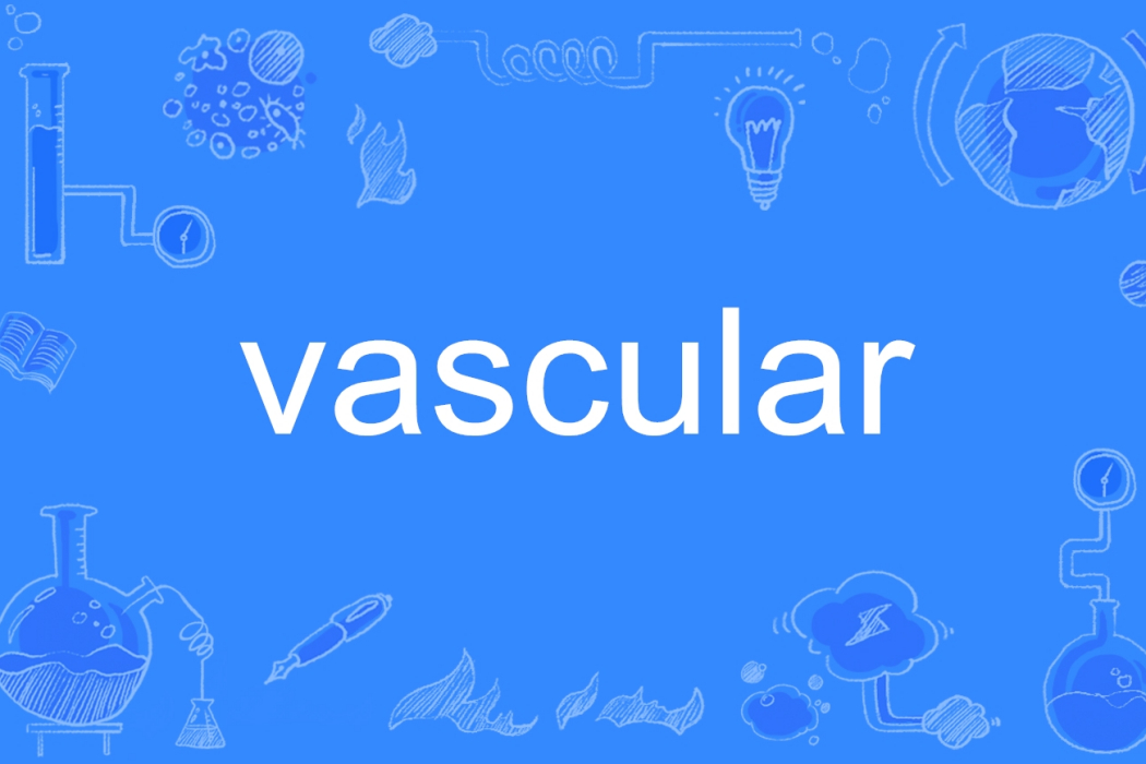 vascular vascular