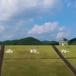 西坑水庫