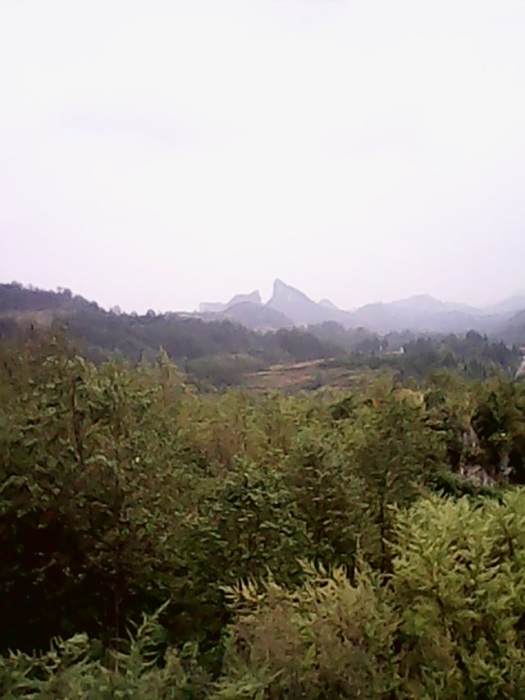 毛栗園 毛栗園