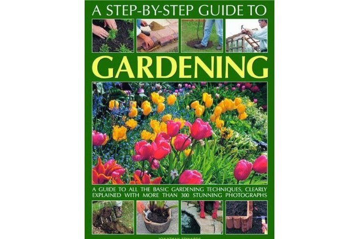 A Step-by-step Guide to Gardening A Step-by-step Guide to Gardening