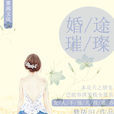 婚途璀璨 婚途璀璨