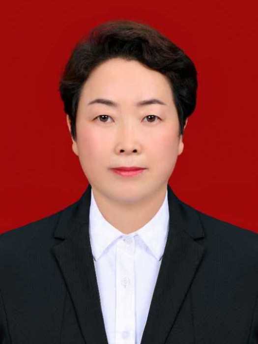 李紅梅(黑龍江省齊齊哈爾市訥河市政府副市長) 李紅梅(黑龍江省齊齊哈爾市訥河市政府副市長)