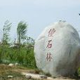 傻石林 傻石林