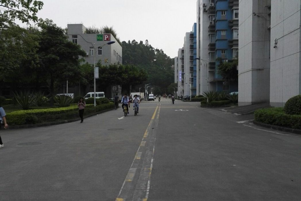富康西街 富康西街
