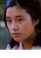青春祭(1985年張暖忻執導電影)