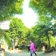 墊橋村 墊橋村