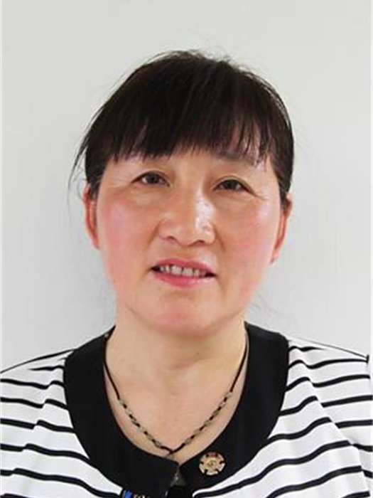 杜玲(安徽省淮北市杜集區教育局黨委委員、副局長) 杜玲(安徽省淮北市杜集區教育局黨委委員、副局長)