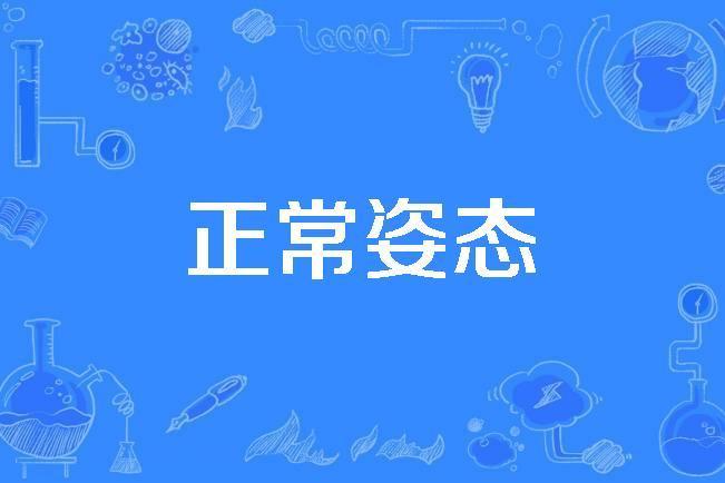 正常姿態 正常姿態