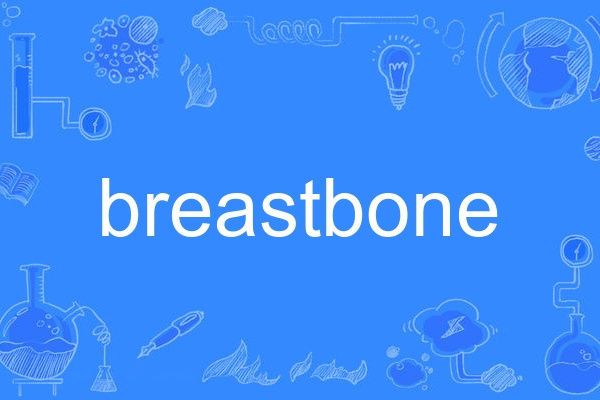 breastbone breastbone