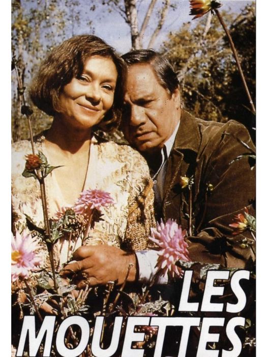 Les mouettes(法國1991年Jean Chapot執導的電影) Les mouettes(法國1991年Jean Chapot執導的電影)
