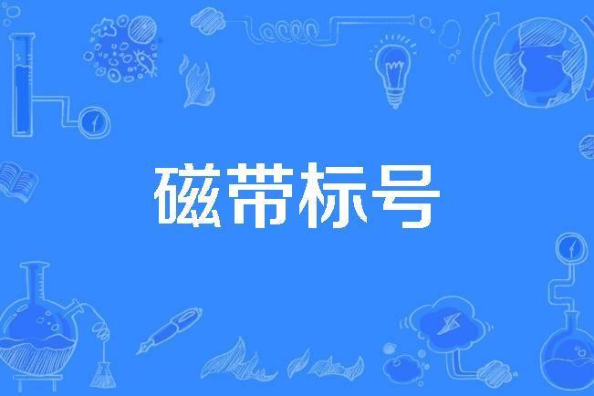 磁帶標號 磁帶標號