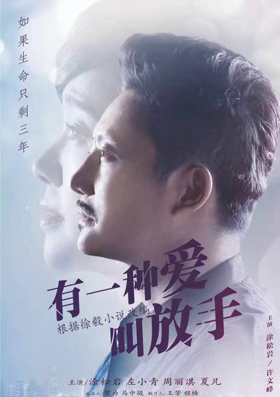 有一種愛叫放手(家年華(2015年電視劇)) 有一種愛叫放手(家年華(2015年電視劇))