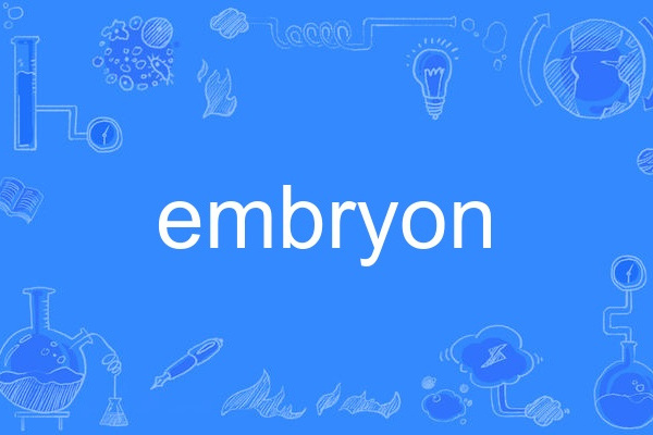 embryon embryon