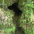 頓洞村 頓洞村