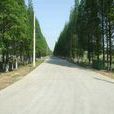 圩西村 圩西村