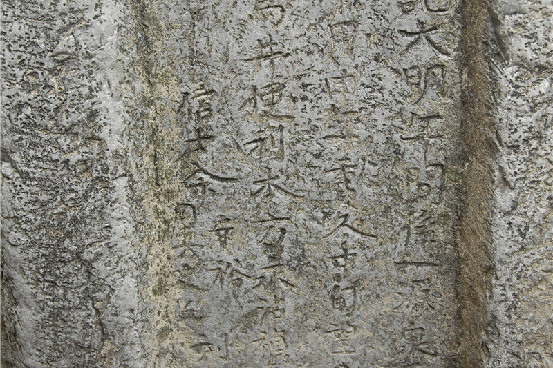 佘村井 佘村井