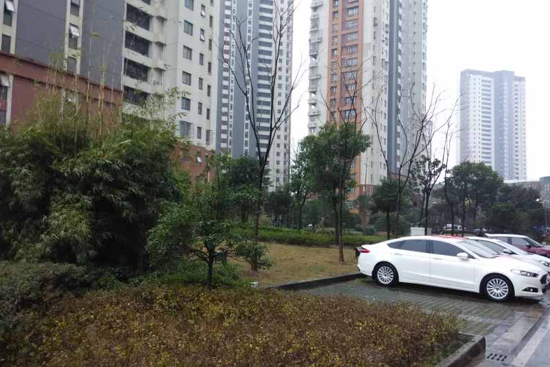 燕歌園1園 燕歌園1園